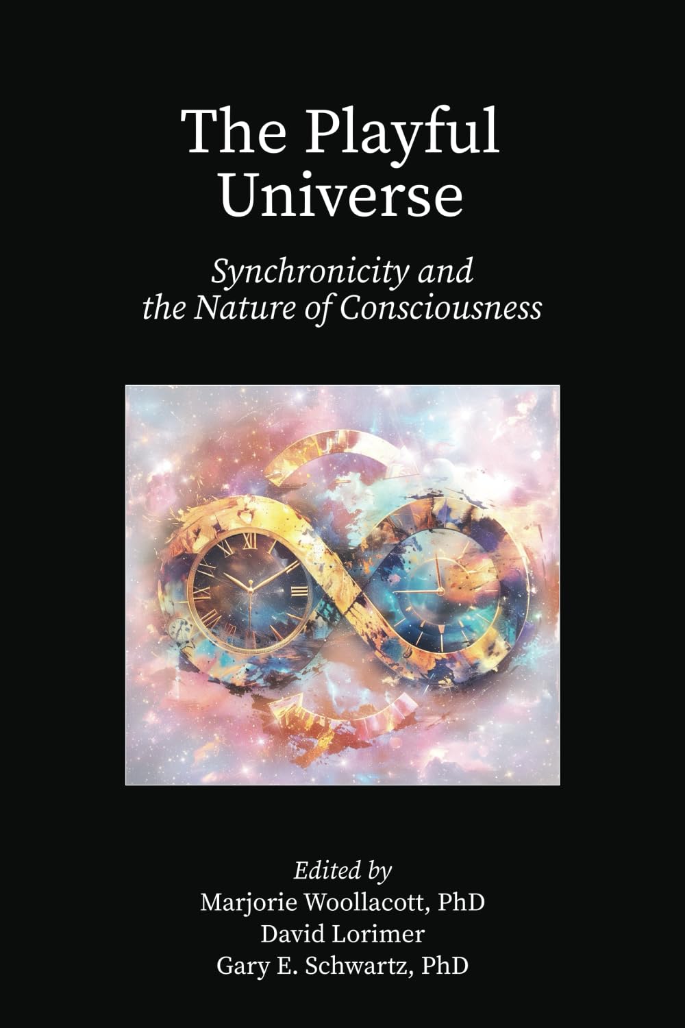 Playful Universe book cover